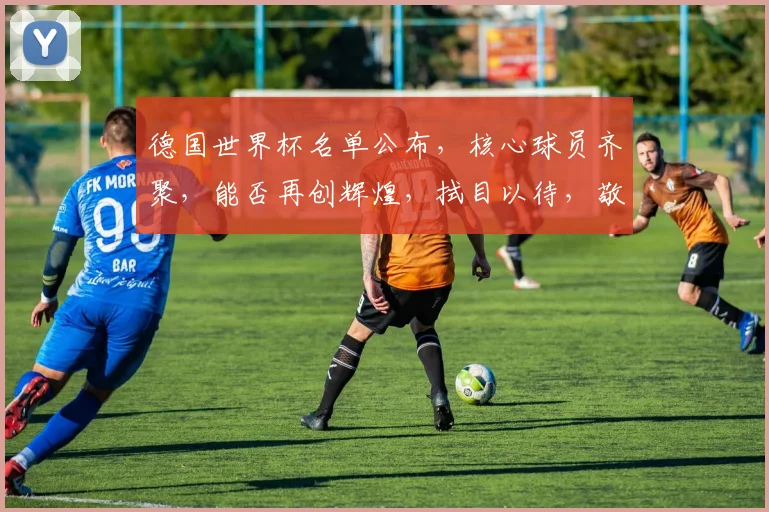 德国世界杯名单公布，核心球员齐聚，能否再创辉煌，拭目以待，敬请关注