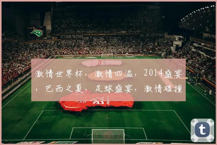 激情世界杯，激情四溢，2014盛宴，巴西之夏，足球盛宴，激情碰撞，精彩无限