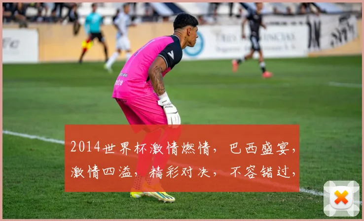 2014世界杯激情燃情，巴西盛宴，激情四溢，精彩对决，不容错过，足球盛宴等你来