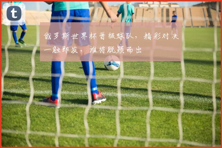 俄罗斯世界杯晋级球队，精彩对决一触即发，谁将脱颖而出